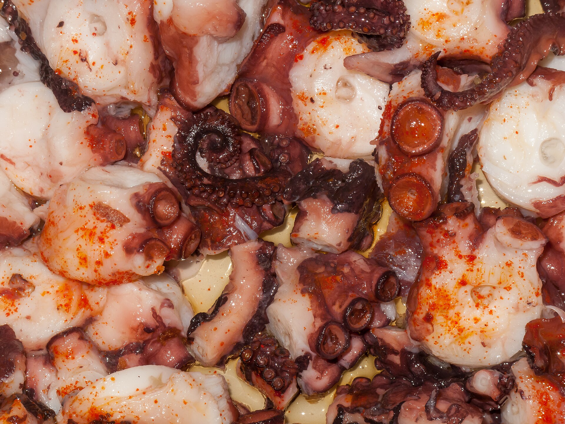 Pulpo a la gallega, imagen de archivo